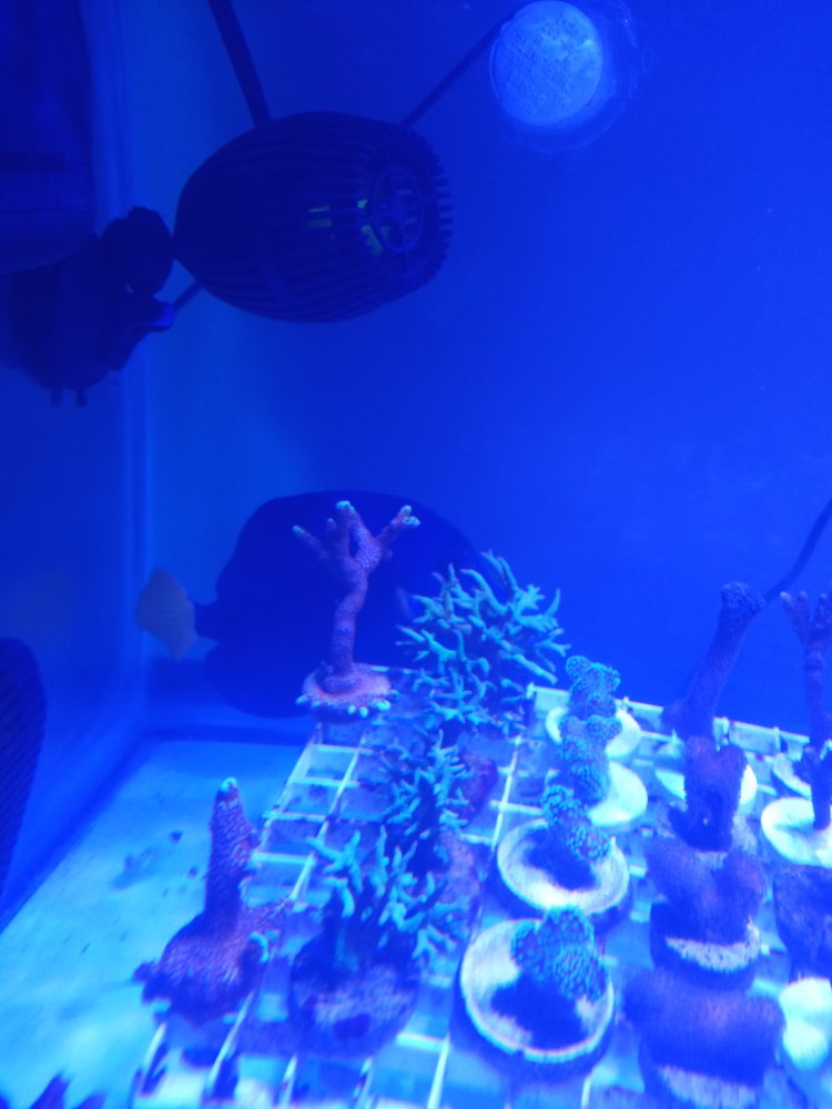 20210121_132953.jpg
