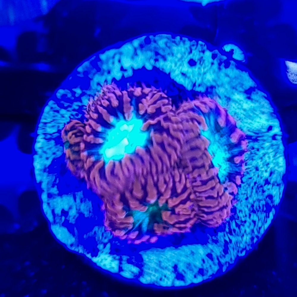 20210124_175748.jpg