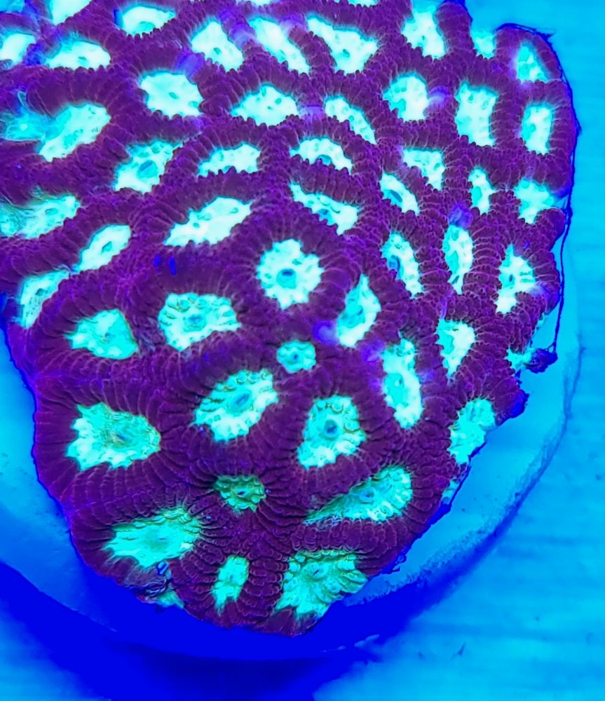 20210124_175901.jpg