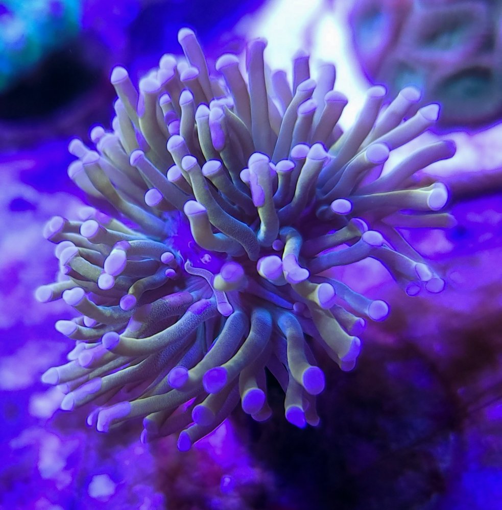20210124_180845.jpg