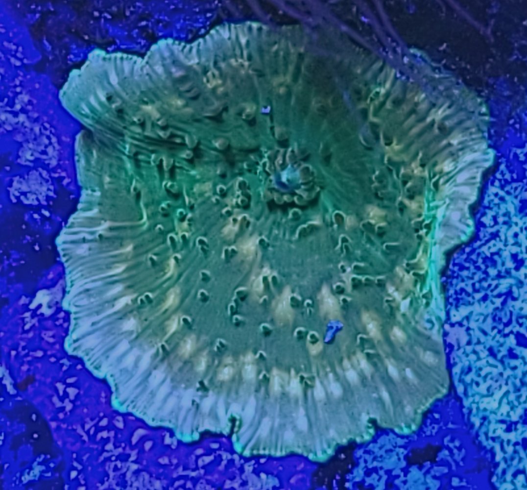20210124_181401.jpg