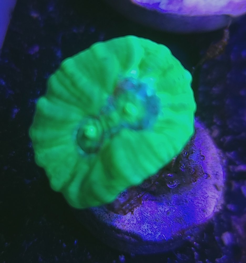 20210130_184141.jpg