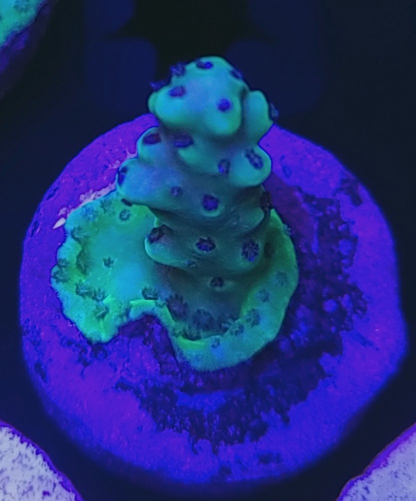 20210214_151055.jpg