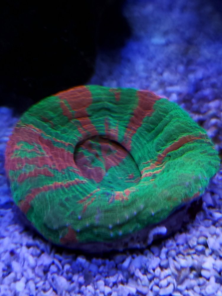 20210214_171552.jpg