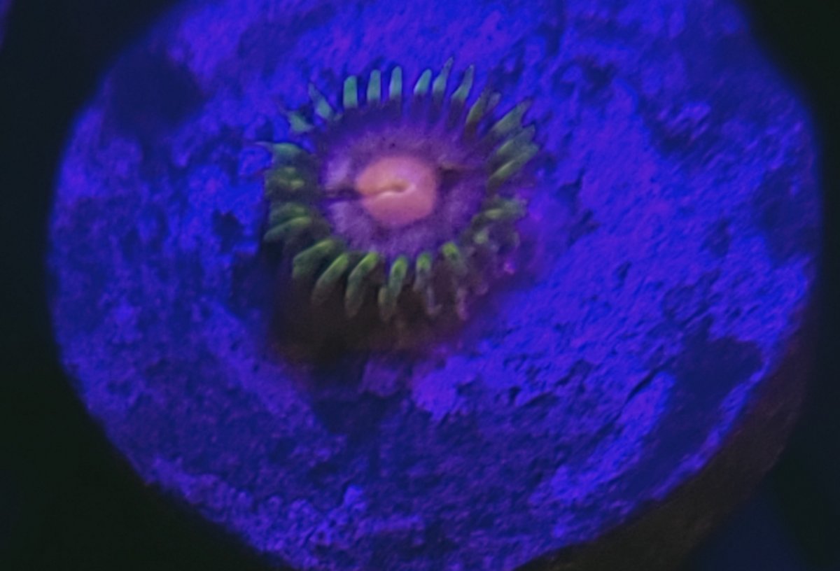 20210219_021905.jpg