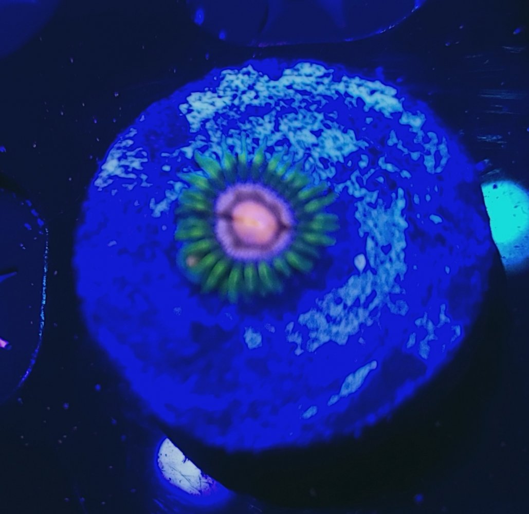 20210220_235734.jpg