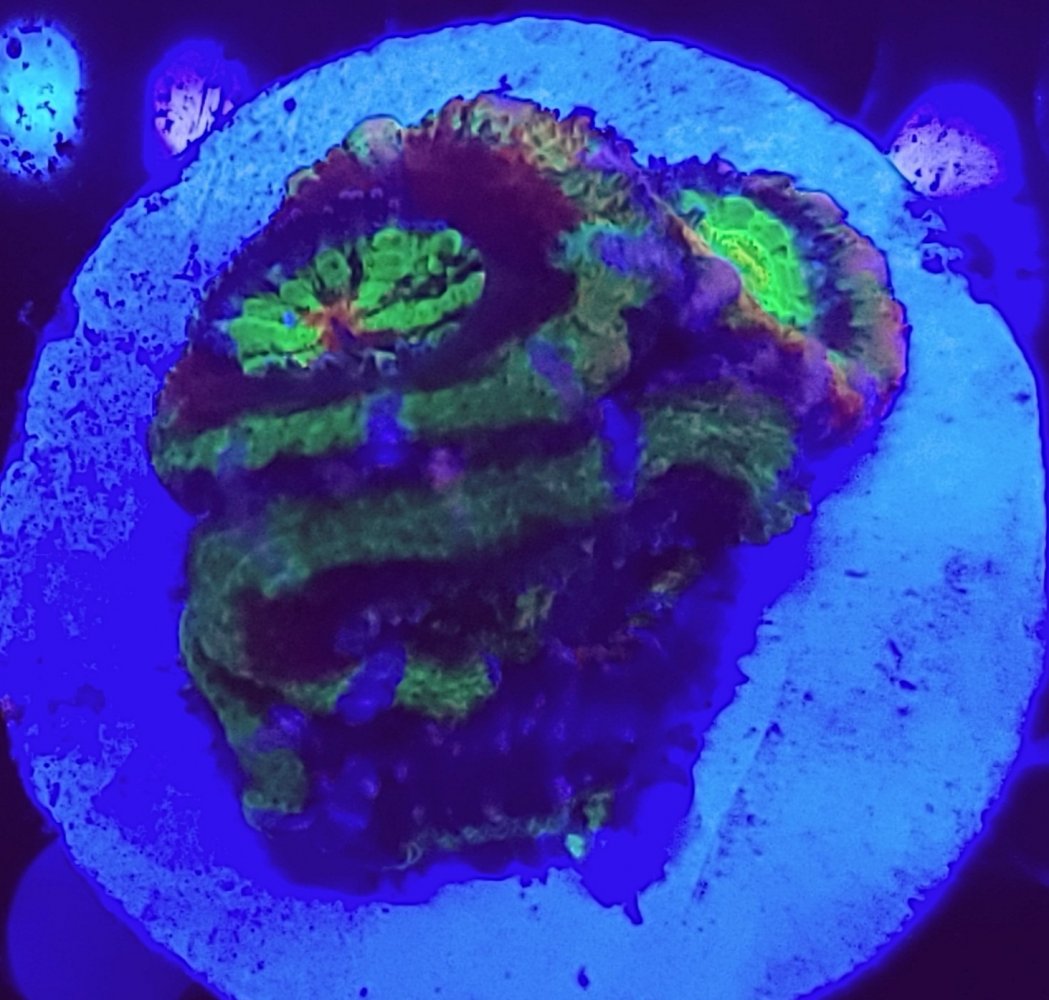 20210226_121145.jpg