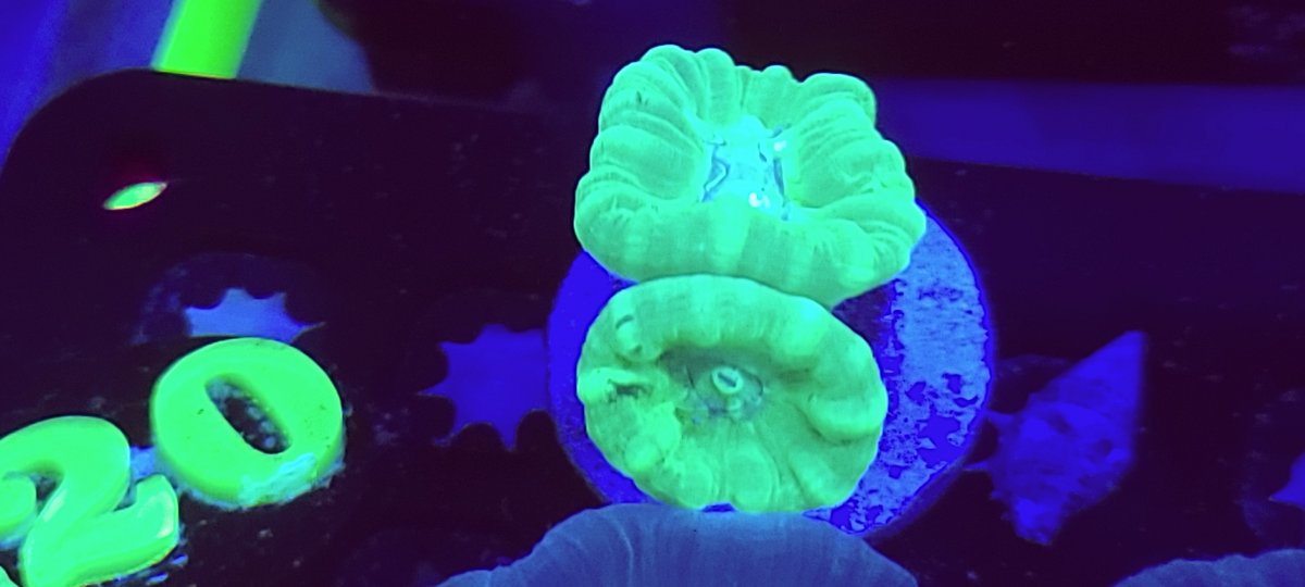 20210226_121756.jpg