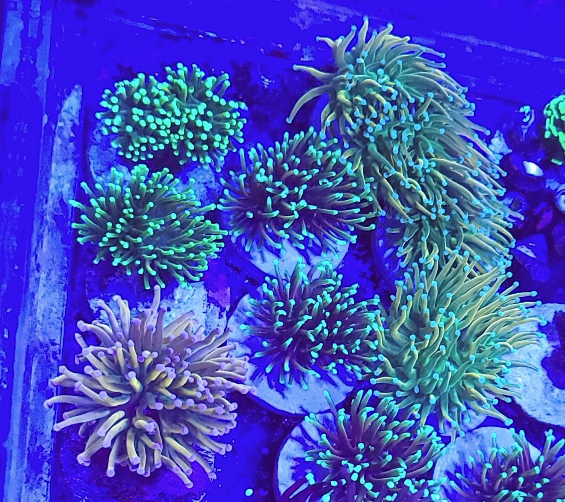 20210226_131711.jpg