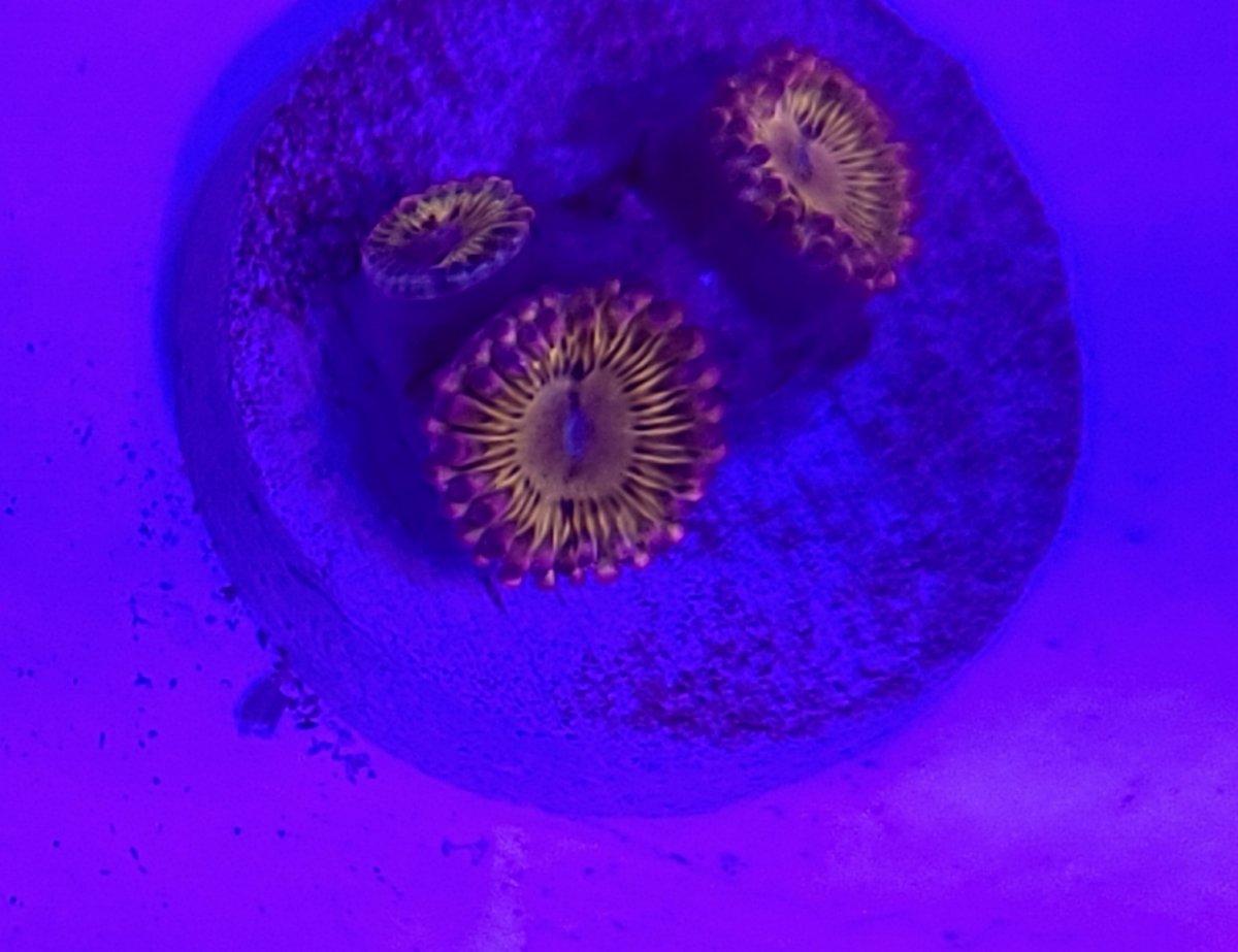 20210308_145123.jpg