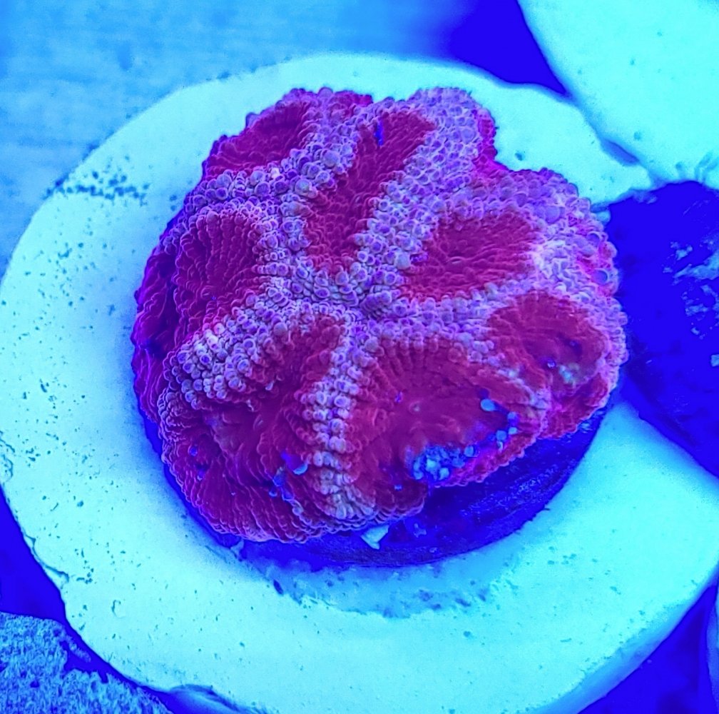 20210308_145450.jpg