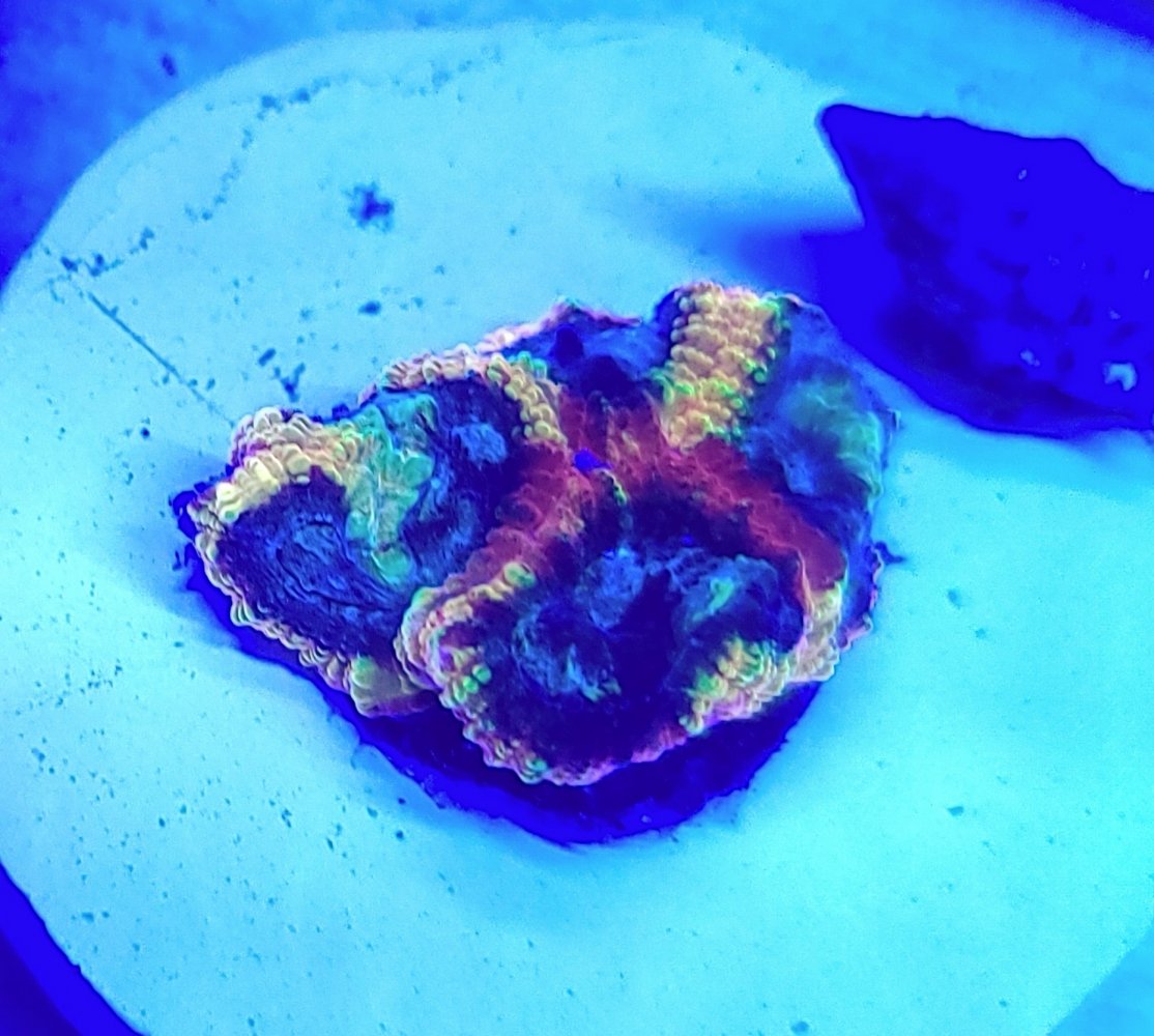 20210308_145535.jpg
