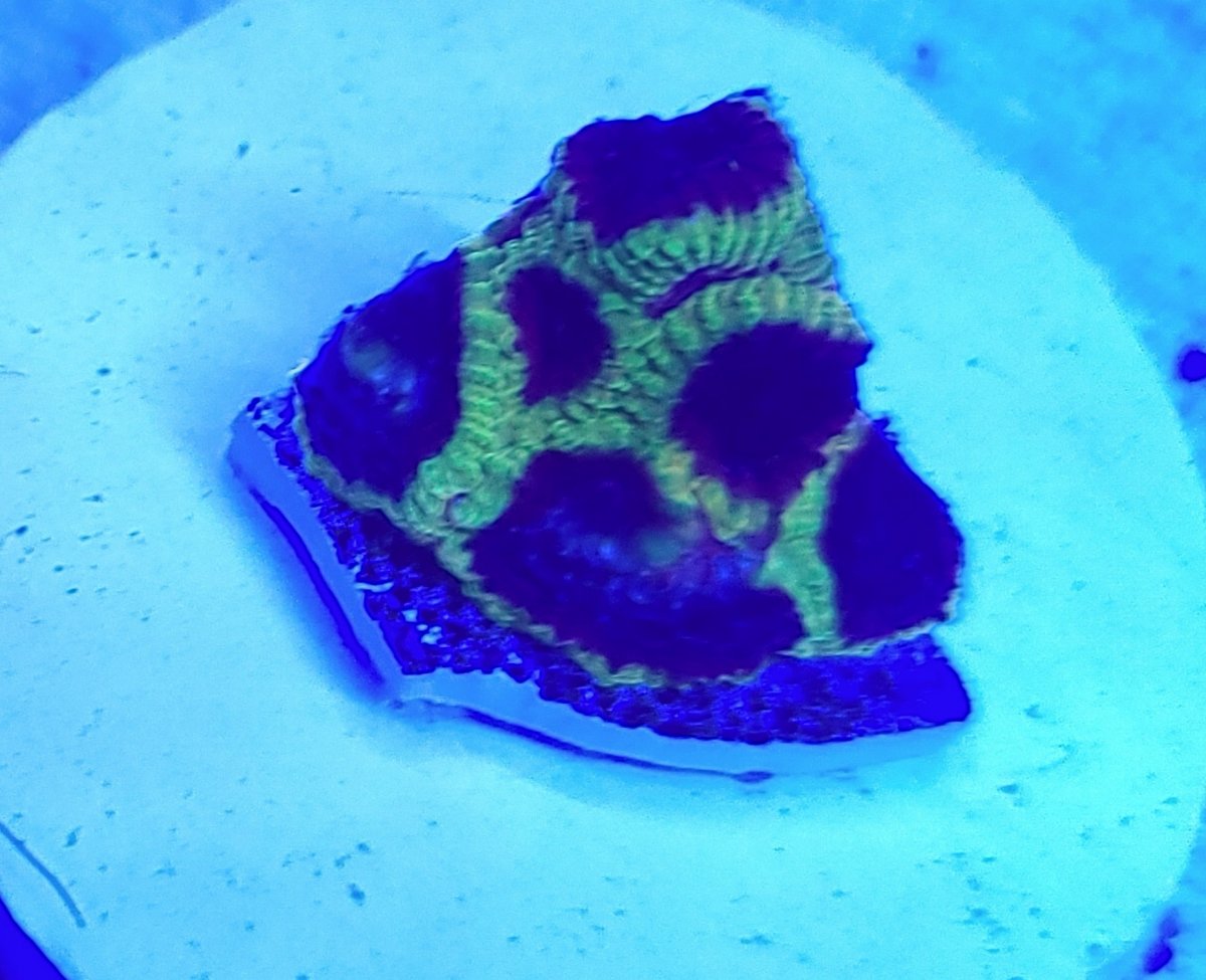 20210308_145540.jpg