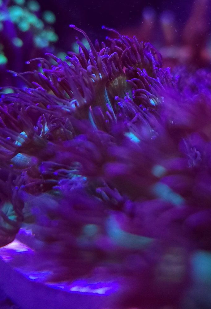 20210308_150550.jpg