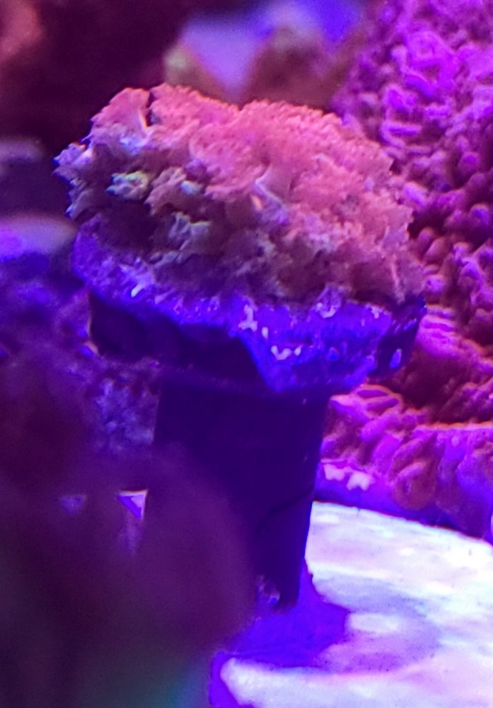 20210308_150632.jpg