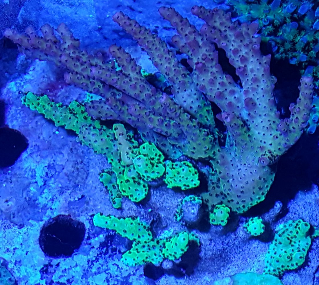 20210327_220318.jpg
