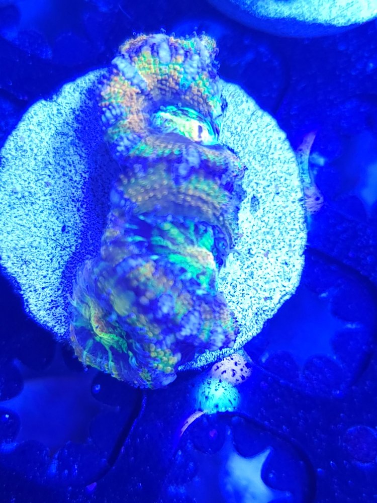 20210405_133631.jpg