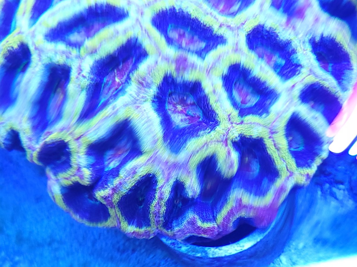 20210414_122722.jpg