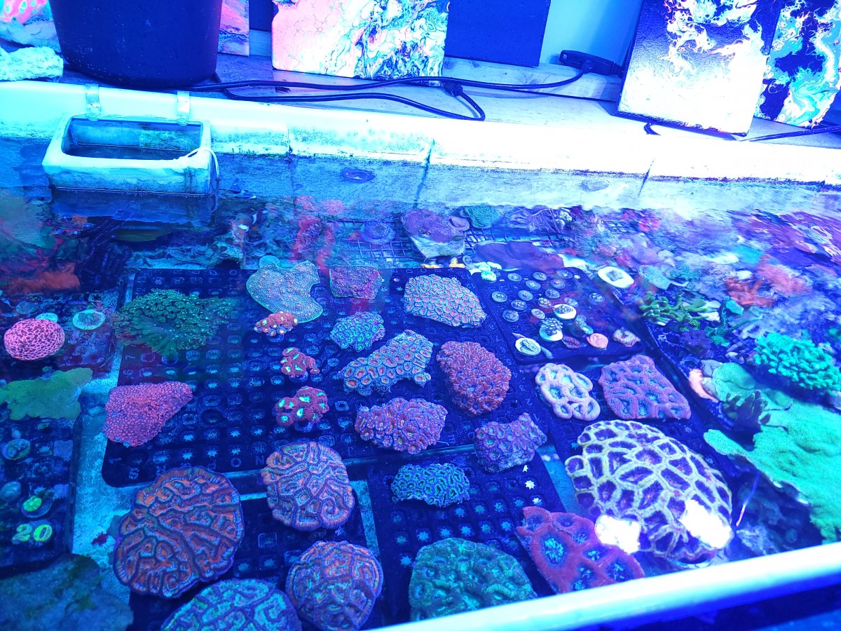 20210414_150601.jpg
