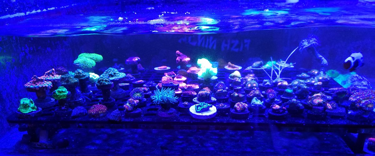 20210416_144357.jpg