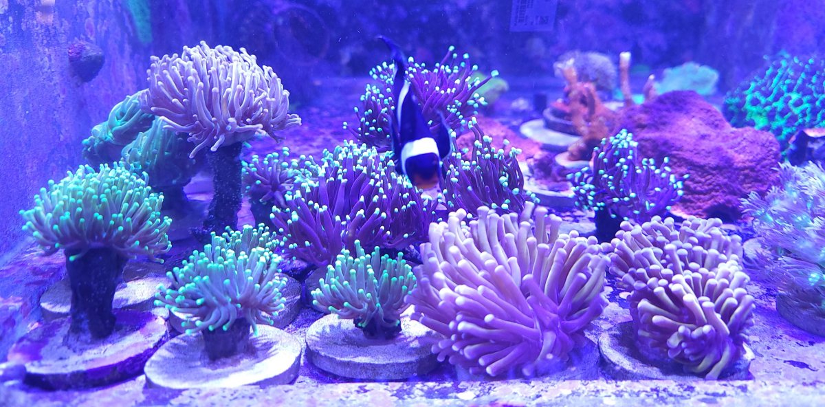 20210416_144451.jpg