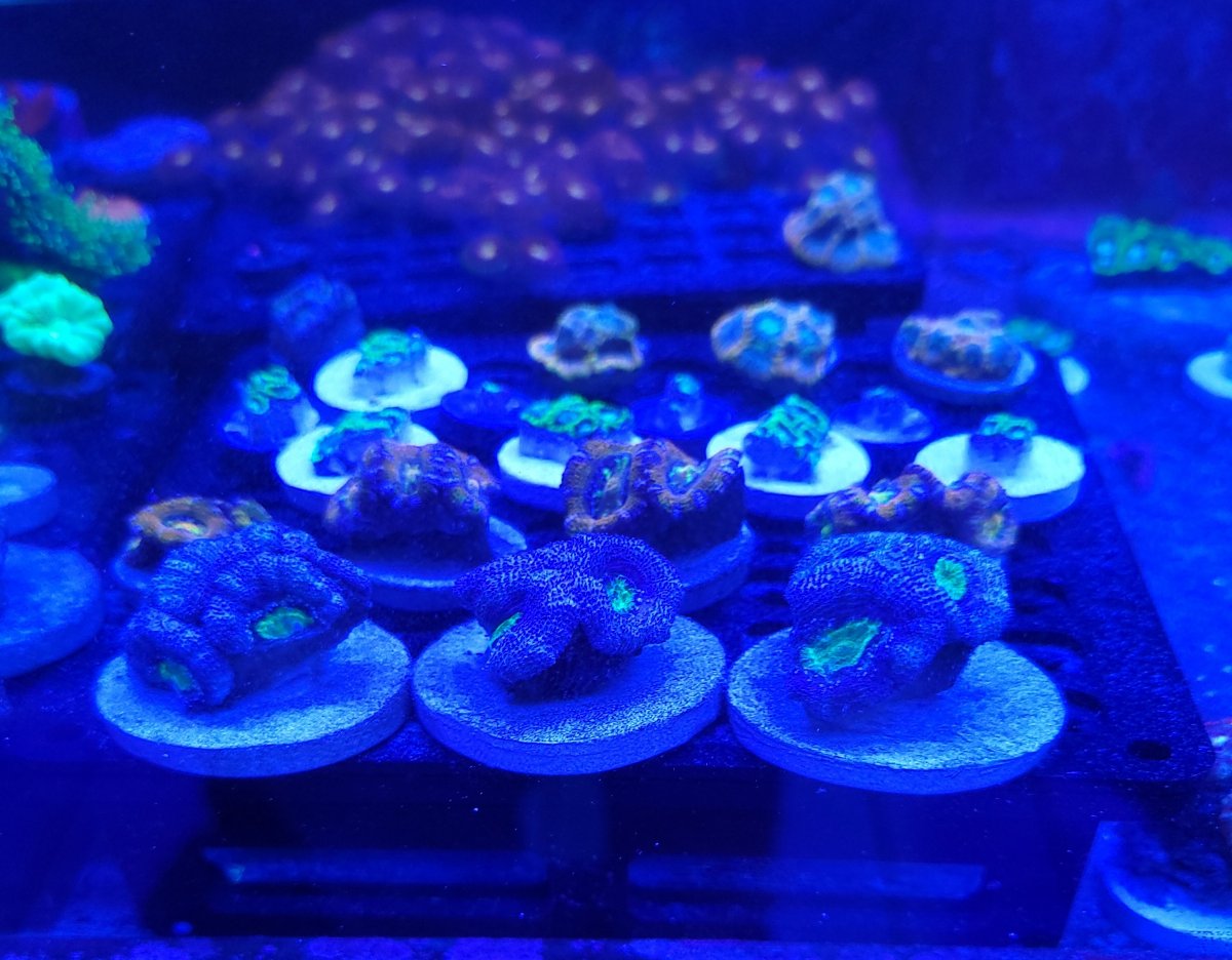 20210416_144624.jpg