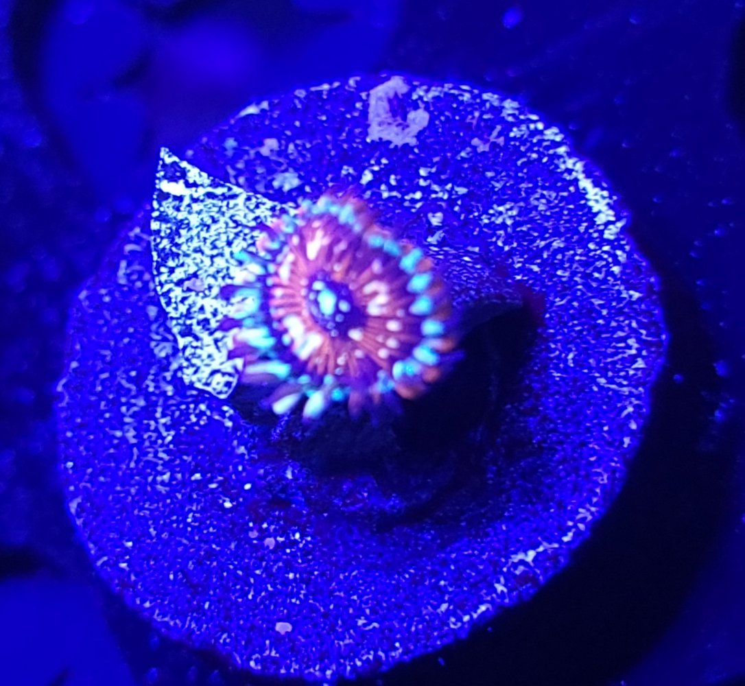 20210416_145354.jpg