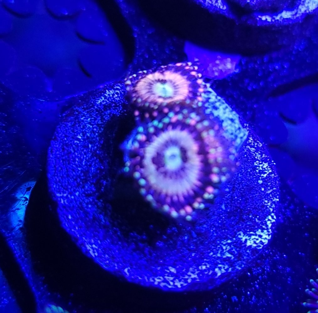 20210416_145522.jpg