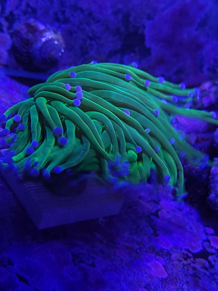 20210416_151219.jpg