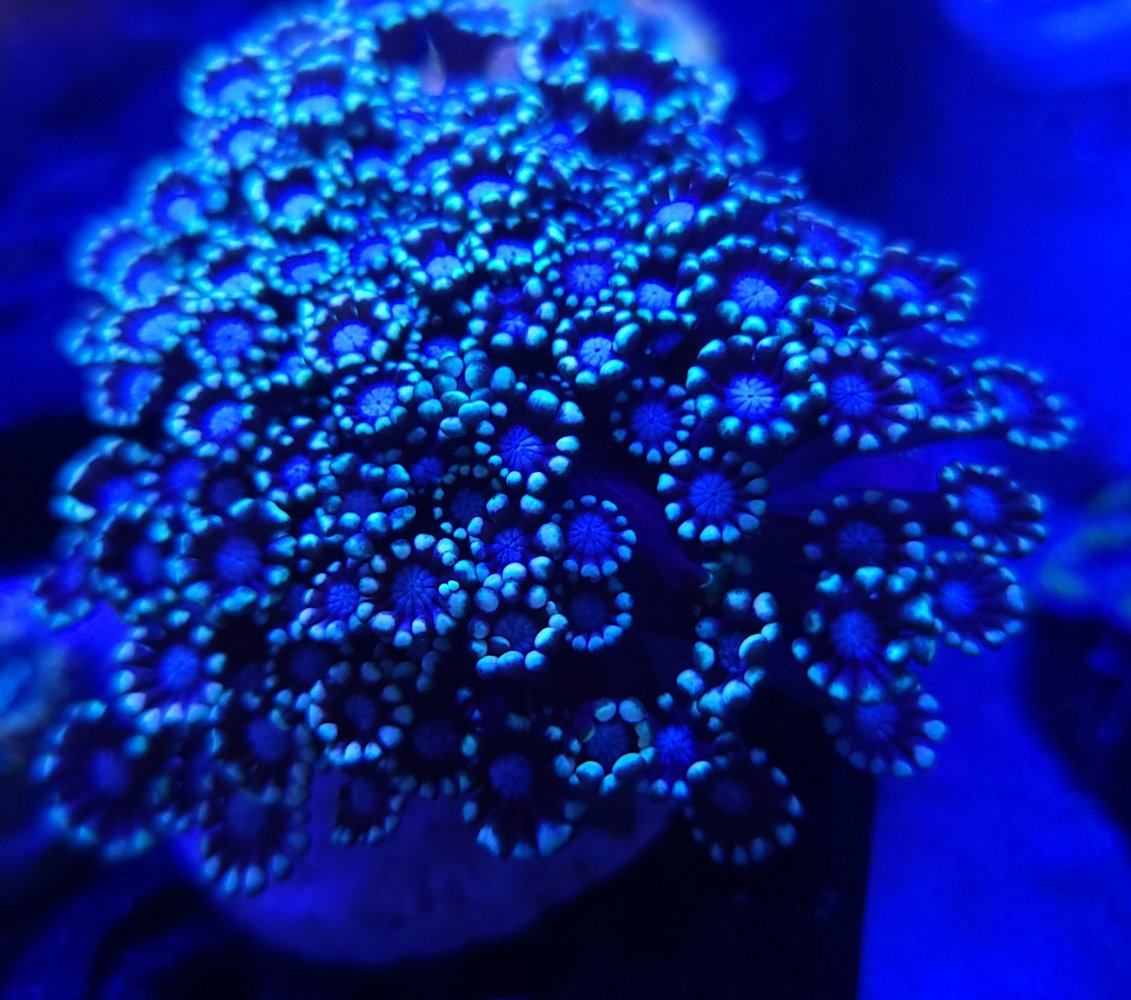 20210428_203413.jpg