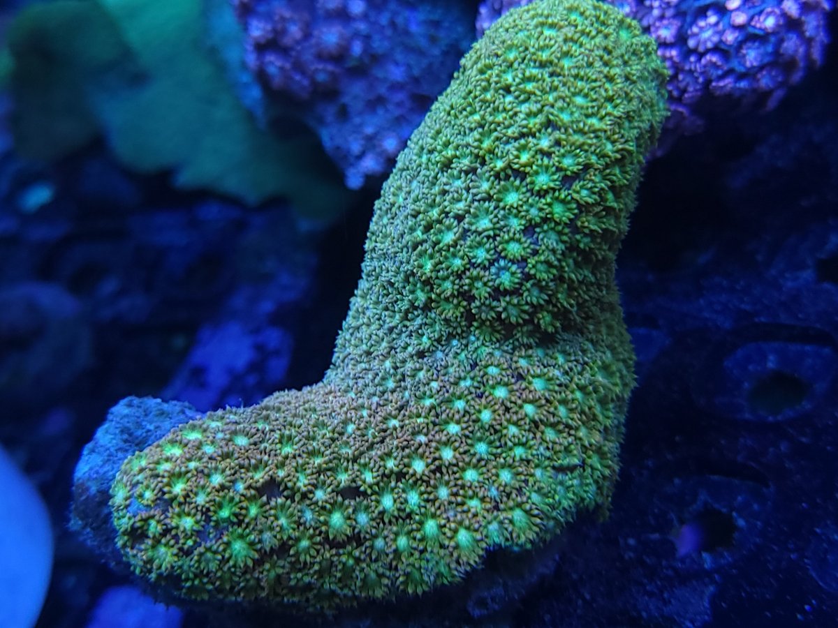 20210428_204004.jpg
