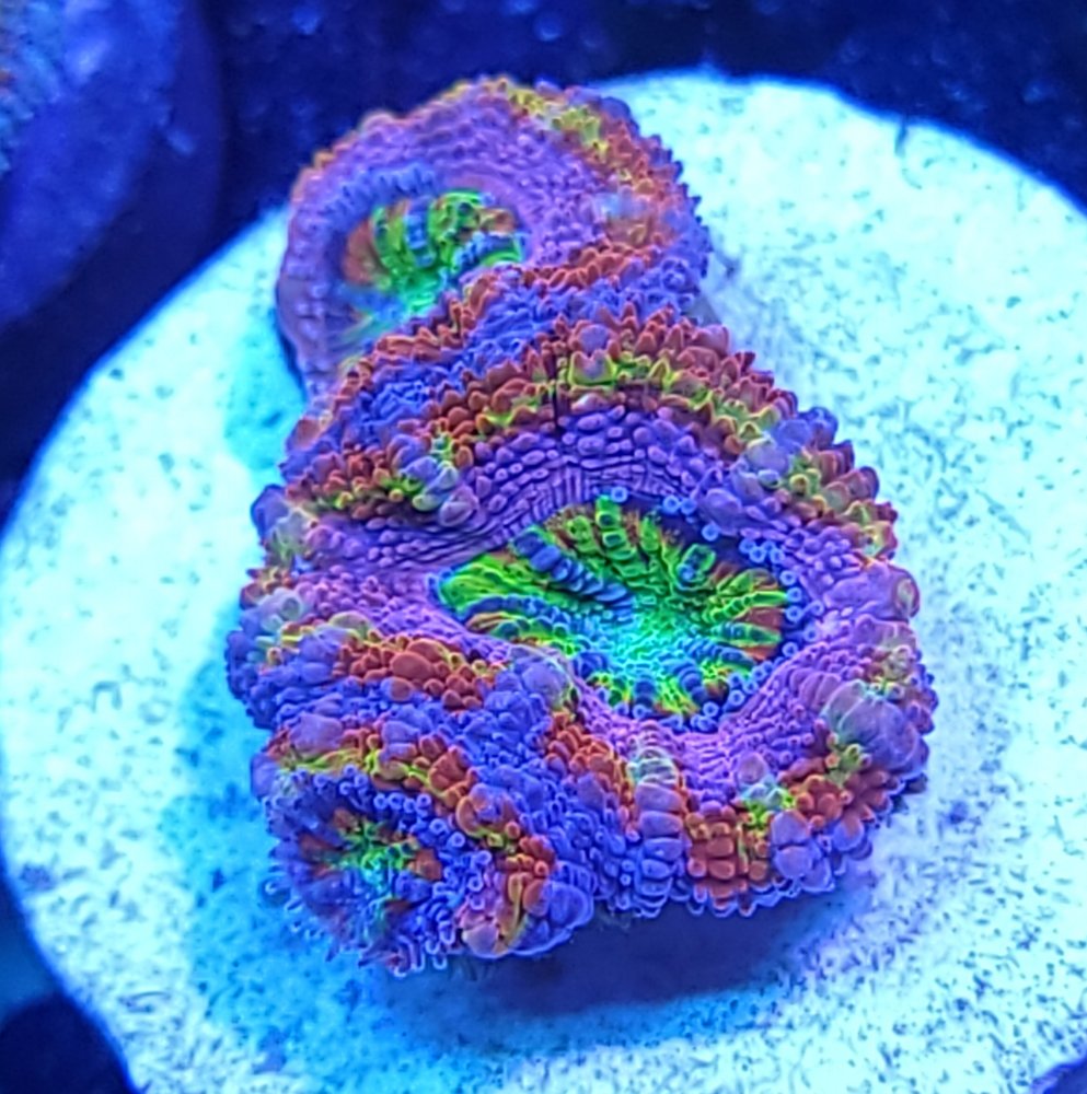 20210428_204956.jpg