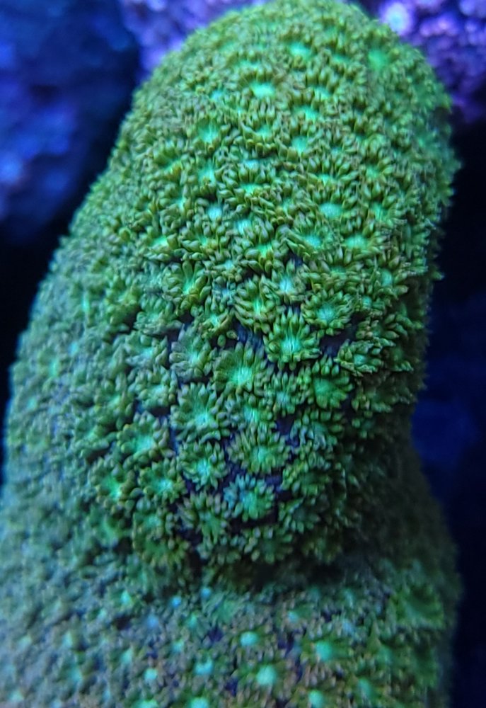 20210429_144402.jpg