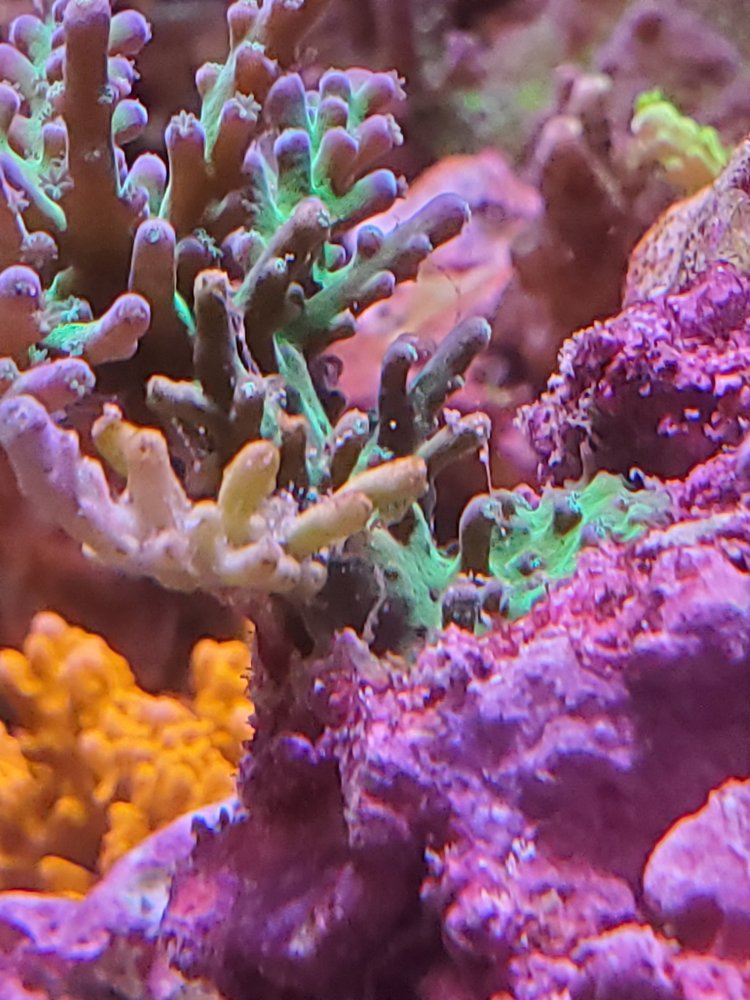 20210525_160120.jpg