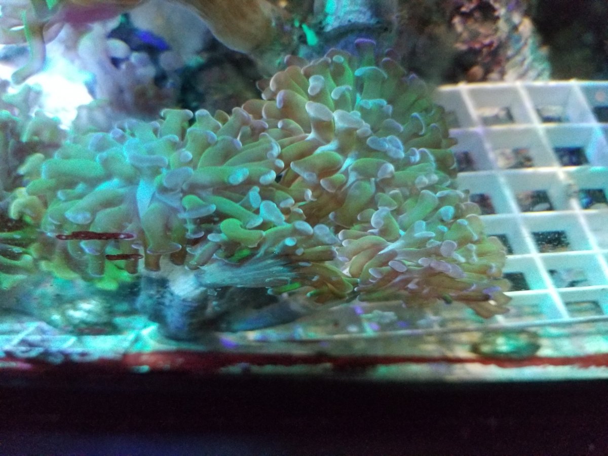 20210528_182938.jpg