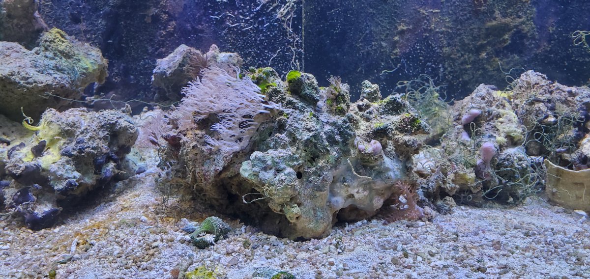 20210616_130700.jpg