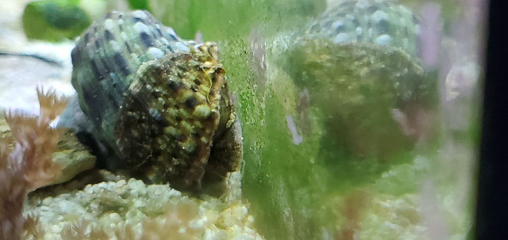 20210619_073119.jpg