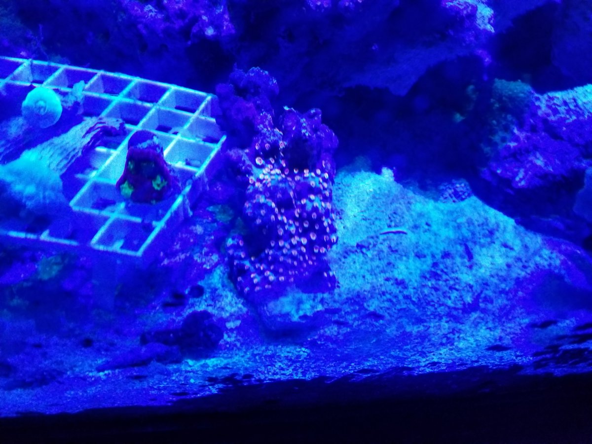 20210709_203837.jpg