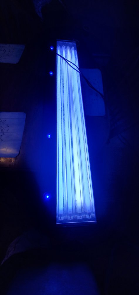 20210725_104428.jpg