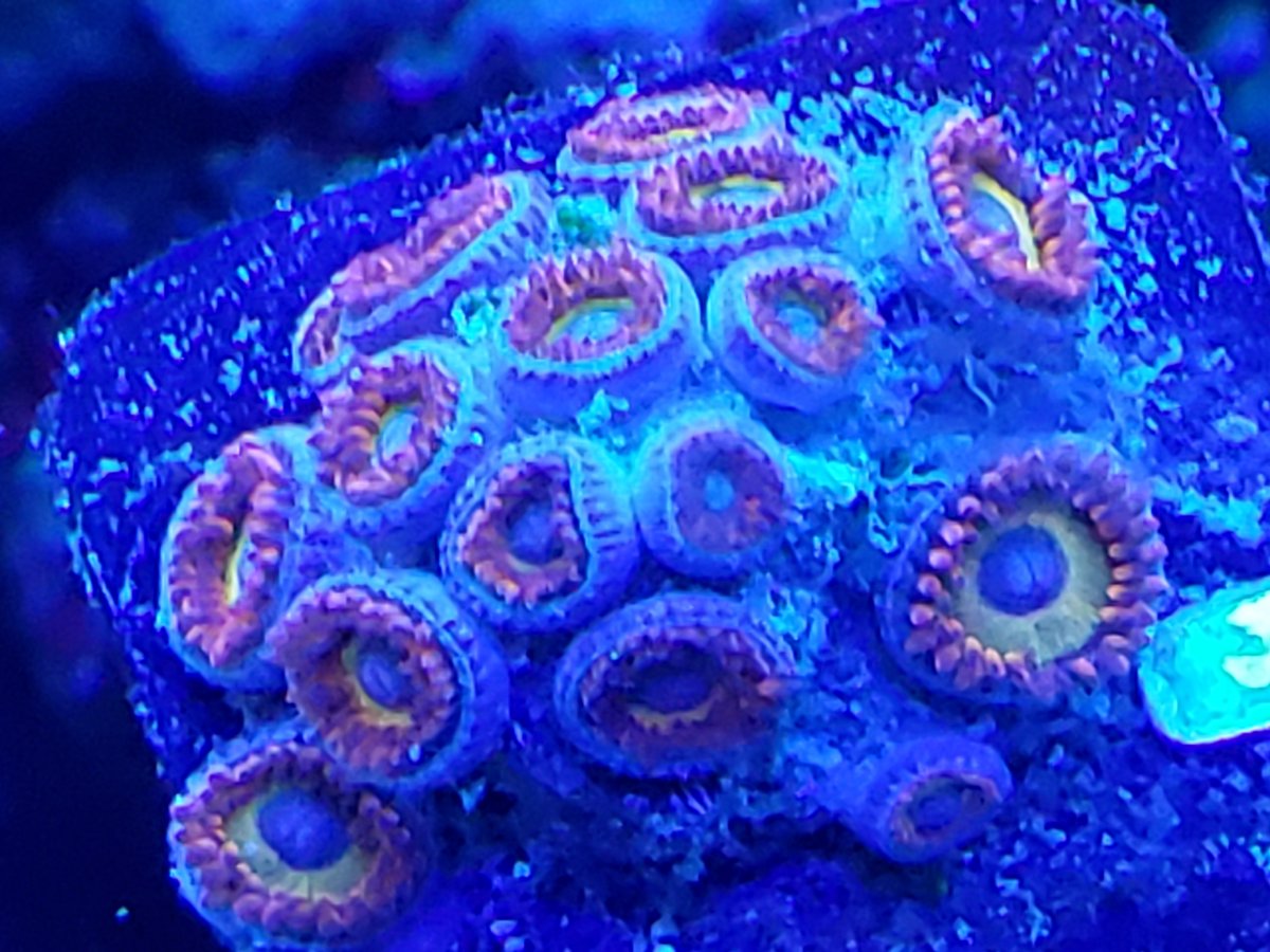 20210725_121231.jpg
