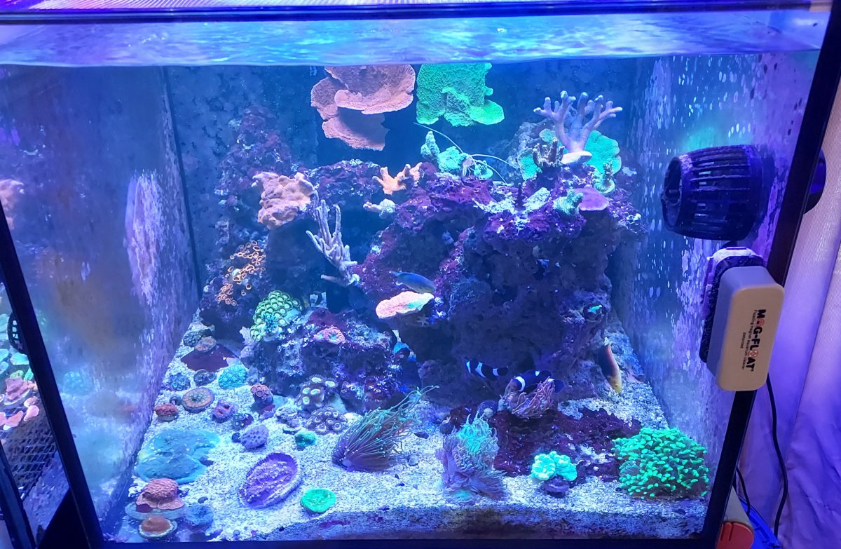 20210817_141849.jpg