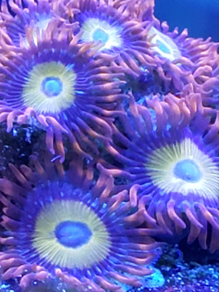 20210828_172257.jpg