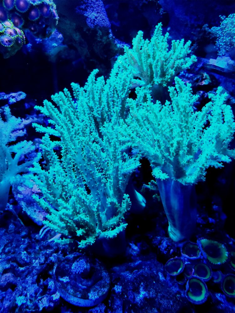 20210924_132915.jpg