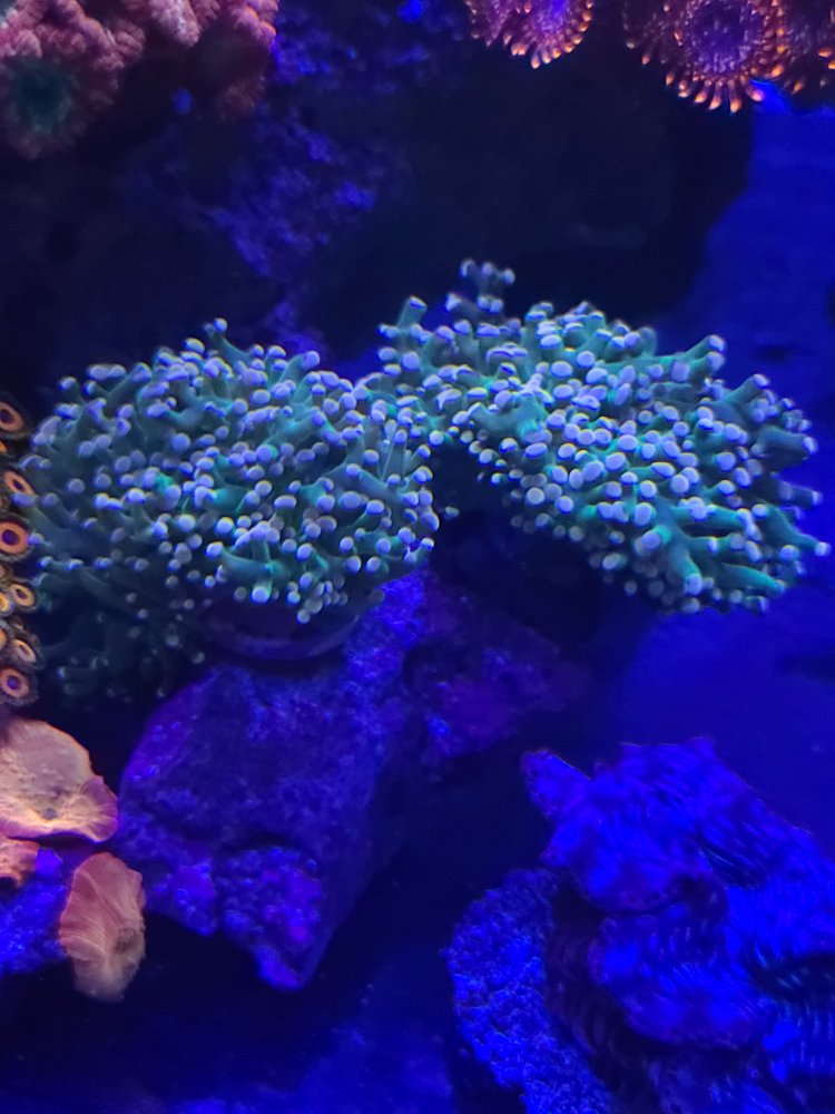 20210927_121911[1].jpg