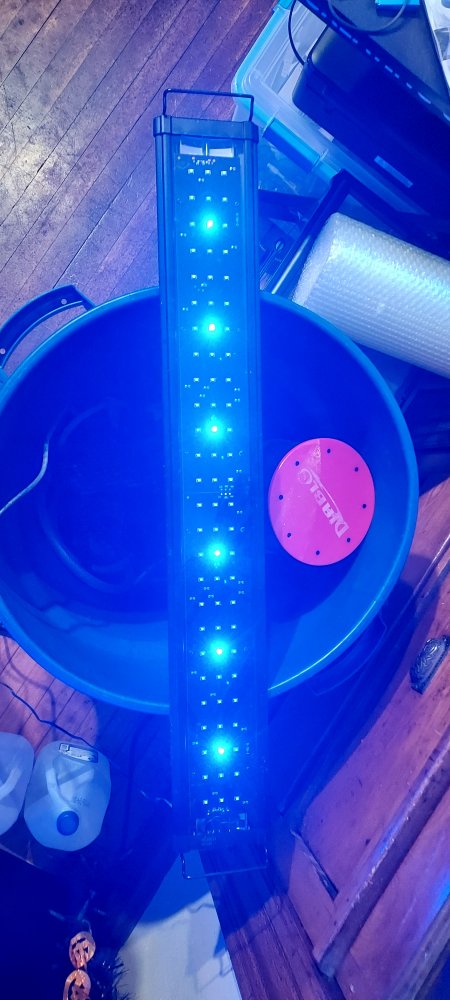 20211009_194311.jpg