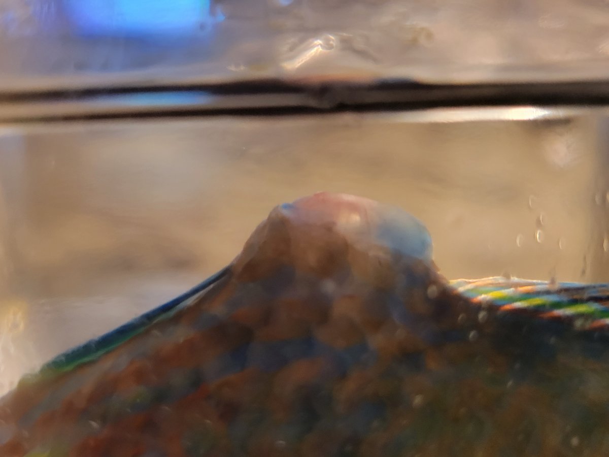 20211102_172032.jpg