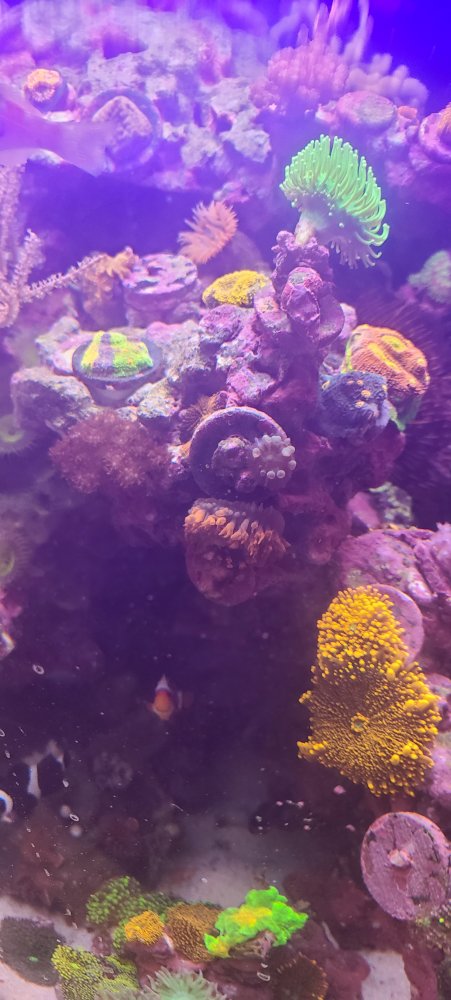 20211116_115144.jpg