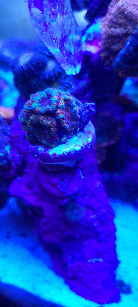 20211116_115633.jpg
