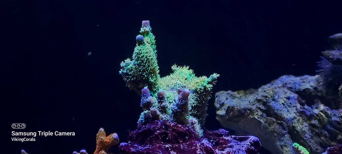20211130_153819.jpg