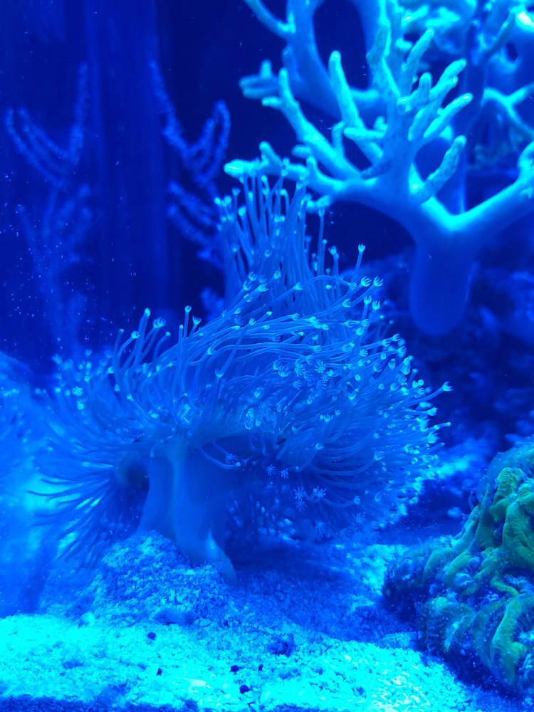 20211202_203605.jpg